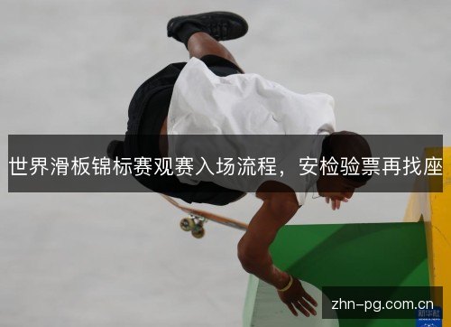 世界滑板锦标赛观赛入场流程，安检验票再找座